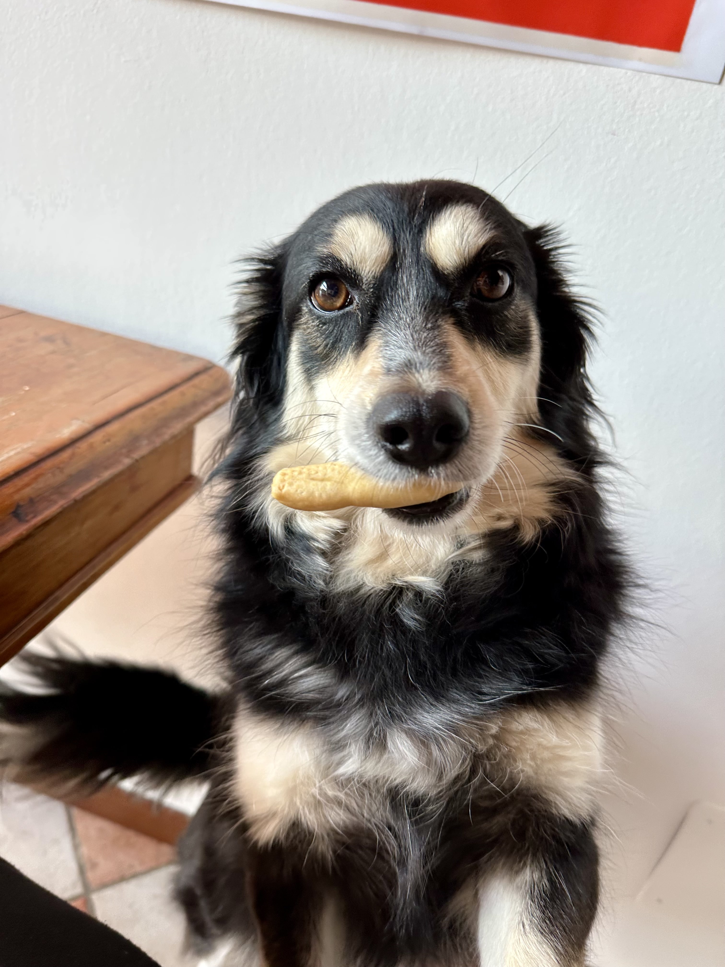 Mimi
